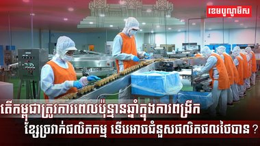 វិស័យ SME