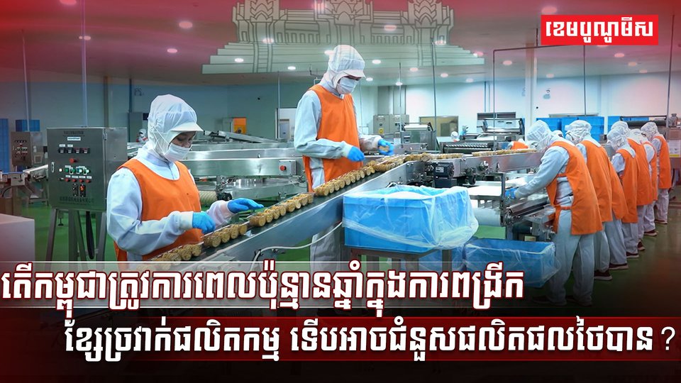 វិស័យ SME
