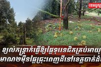 វិស័យ​កសិកម្ម