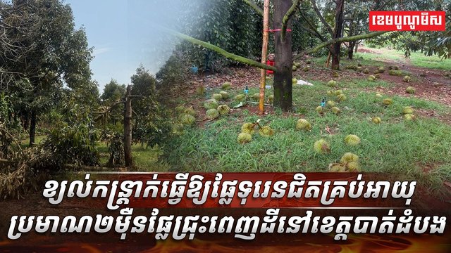 វិស័យ​កសិកម្ម