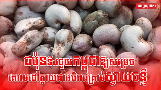 វិស័យកសិកម្ម