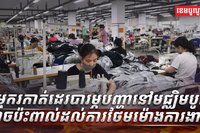 វិស័យការងារ