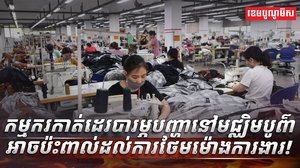 វិស័យការងារ