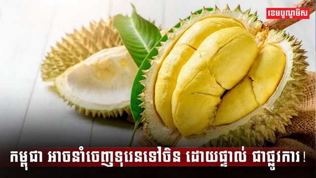 ទីផ្សារទុរេន