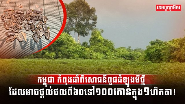 វិស័យកសិកម្ម