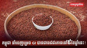 ម្រេចកំពត