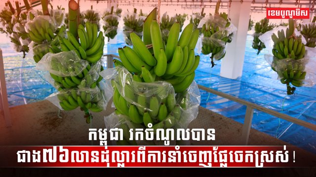 វិស័យកសិកម្ម
