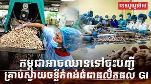 ដំណាំស្វាយចន្ទី