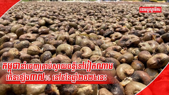 ដំណាំស្វាយចន្ទី