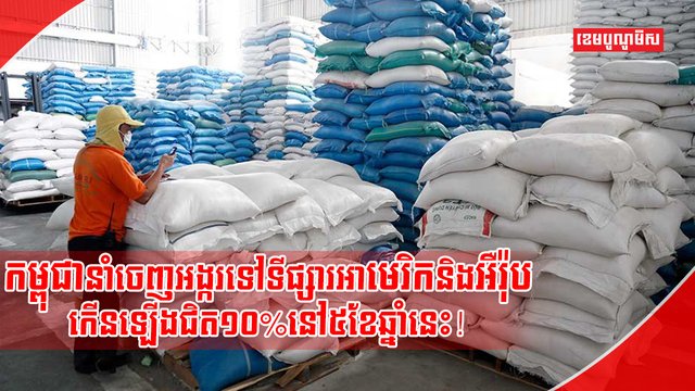 វិស័យស្រូវ អង្ករ