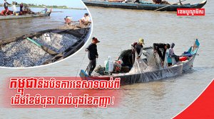 ការចិញ្ចឹមត្រី