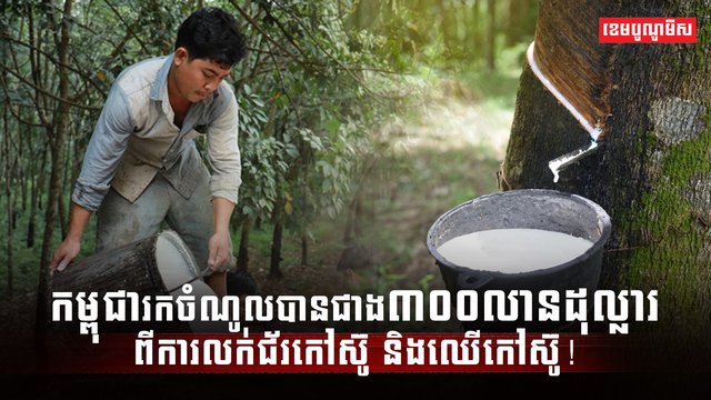 វិស័យកសិកម្ម