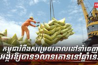 វិស័យ ស្រូវ អង្ករ