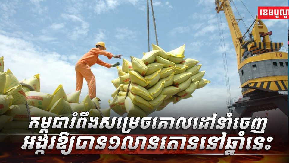 វិស័យ ស្រូវ អង្ករ