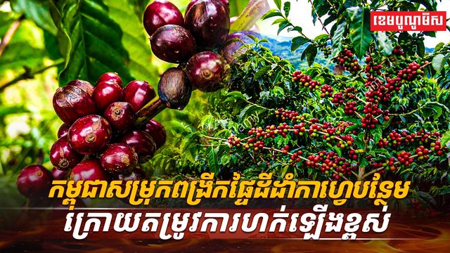 វិស័យកសិកម្ម