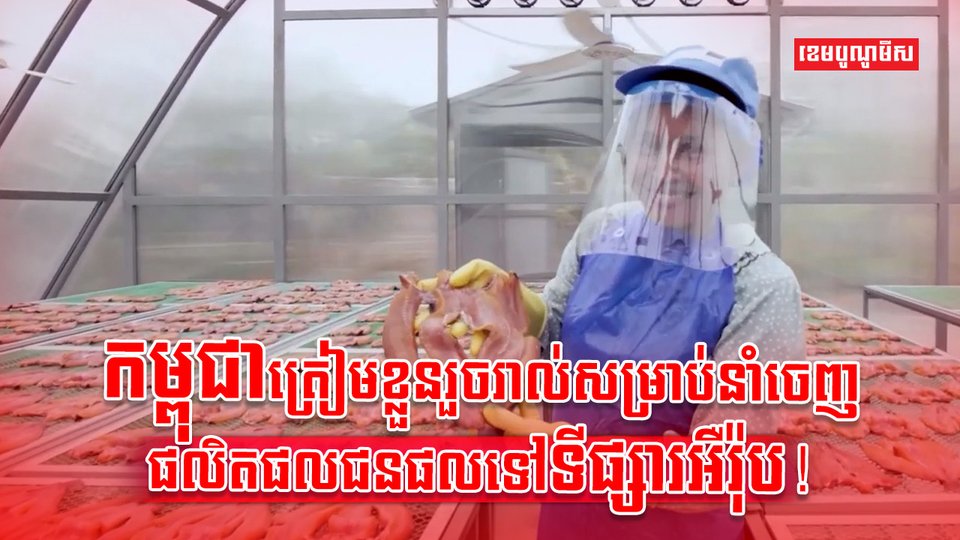 ការនាំចេញ