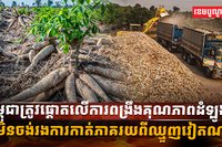 ដំឡូងមី