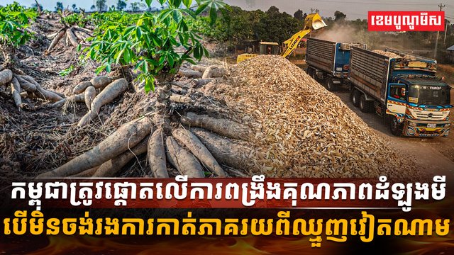 ដំឡូងមី