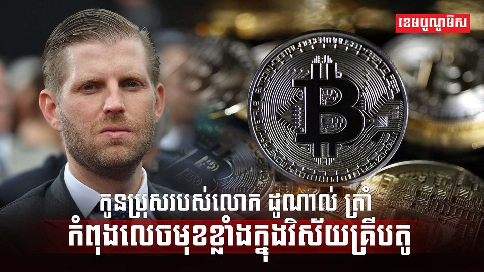 វិស័យគ្រីបតូ