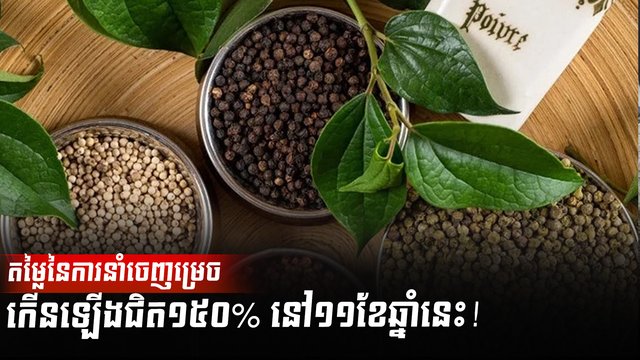 ដំណាំម្រេច