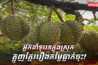វិស័យ​កសិកម្ម