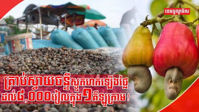 ដំណាំស្វាយចន្ទី