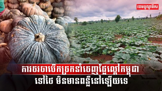 វិស័យកសិកម្ម