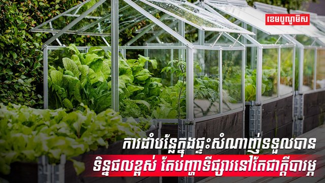 វិស័យកសិកម្ម