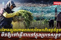 កូរ៉េខាងត្បូង