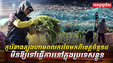 កូរ៉េខាងត្បូង