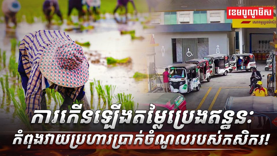 វិស័យកសិកម្ម