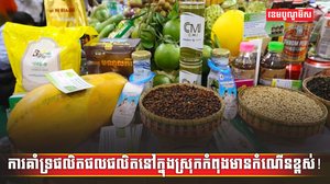 វិស័យ SME