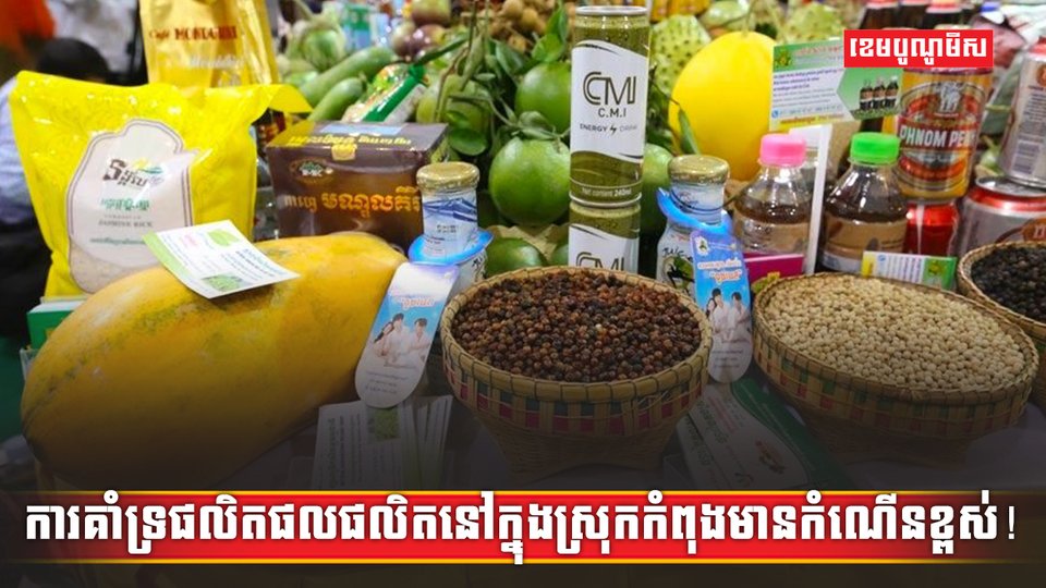 វិស័យ SME