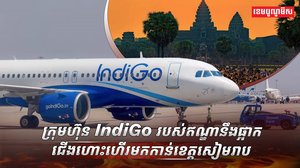 ក្រុមហ៊ុន IndiGo