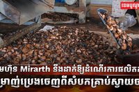 វិស័យស្វាយចន្ទី