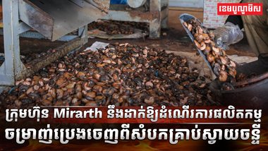 វិស័យស្វាយចន្ទី