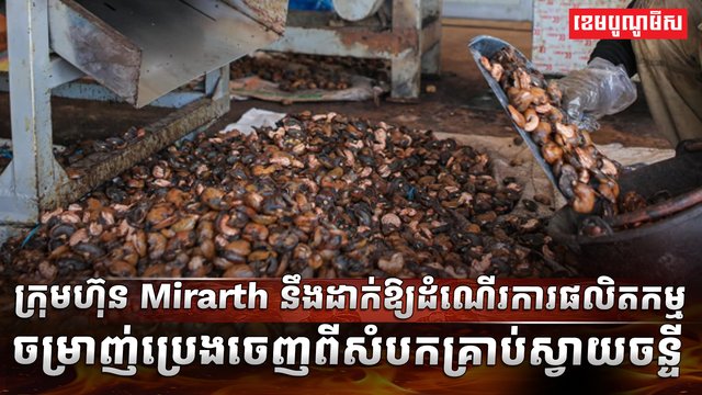 វិស័យស្វាយចន្ទី