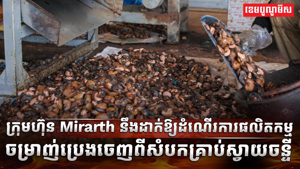 វិស័យស្វាយចន្ទី