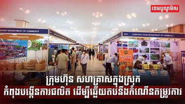 វិស័យ SME