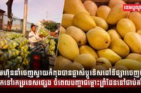 វិស័យ កសិកម្ម