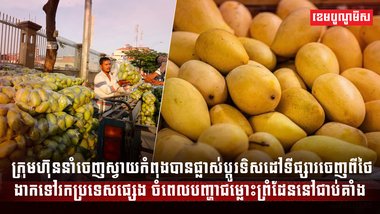 វិស័យ កសិកម្ម