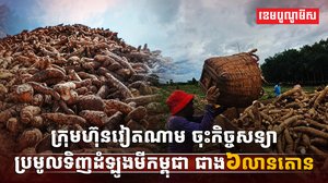 ទីផ្សារដំឡូងមី