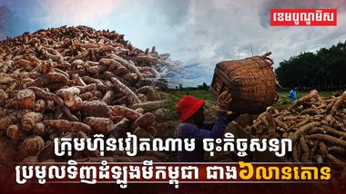 ទីផ្សារដំឡូងមី