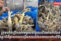 ជើងមាន់ដុះផ្សិត