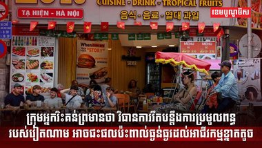 វិស័យពន្ធដារ