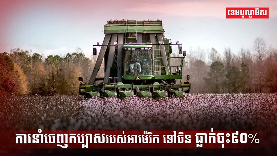 វិស័យពាណិជ្ជកម្ម