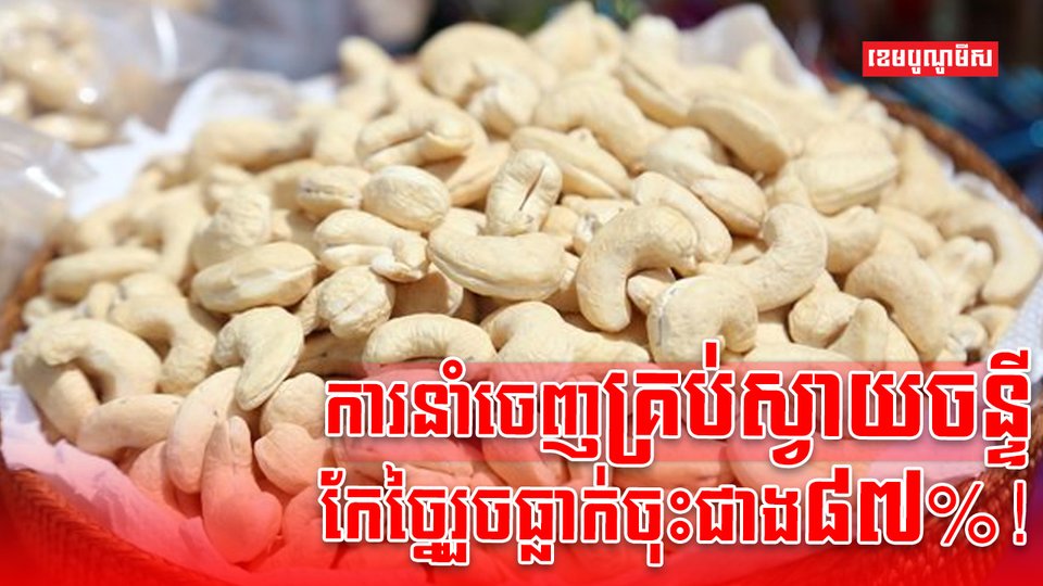 ដំណាំស្វាយចន្ទី