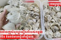ការនាំចេញសំបុកត្រចៀកកាំរបស់កម្ពុជា ទៅចិន មិនទាន់មានពន្លឺនៅឡើយទេ