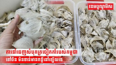 ការនាំចេញសំបុកត្រចៀកកាំរបស់កម្ពុជា ទៅចិន មិនទាន់មានពន្លឺនៅឡើយទេ