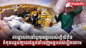 វិស័យ ស្រូវអង្ករ